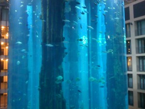 aquarium-poisson-berlin-radisson
