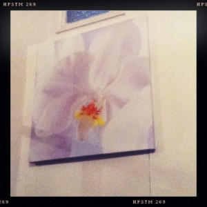 osteo-sciatique-femme-enceinte-paris-pma