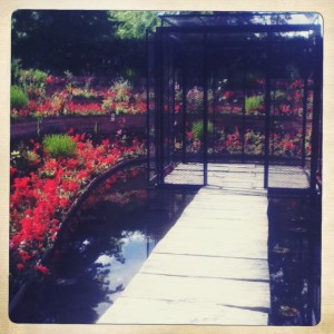 Festival-chaumont-sur-loire-jardins-2012-cage-rouge