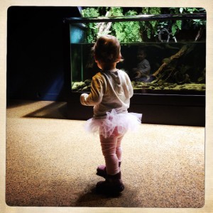 aquarium-porte-doree-bebe