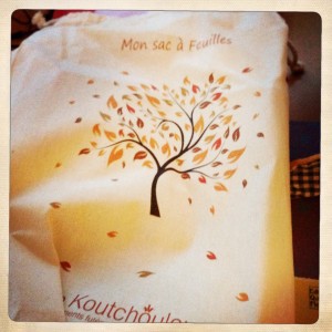 avis-koutchoulou-box--boite-pochon