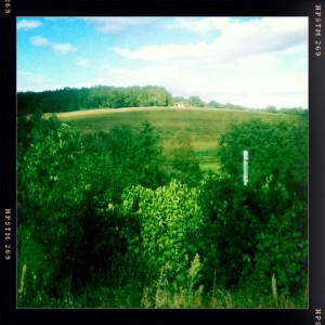 campagne-hipsta-fiv-tec---paris-neuilly-pma-amp