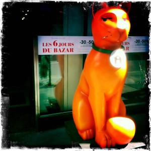 chat-geant-bhv