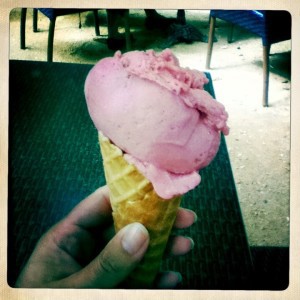 festival-chaumont-sur-loire-jardins-2011--glace-hipsta