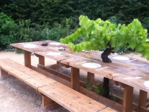 festival-chaumont-sur-loire-jardins-2011--table-vigne