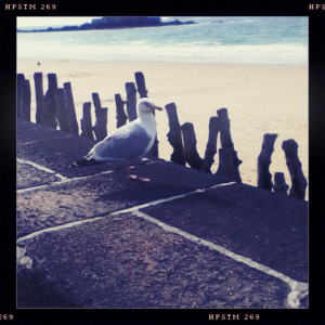 image0-2012-07-20-08-09-57--0000