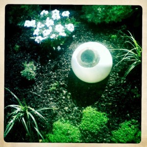 oeil-jardin-chasse-tresor-paris