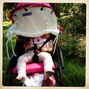 parc-floral-bebe-poussette