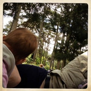 parc-floral-bebe_-arbre