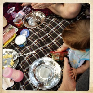 parc-floral-bebe_-rose