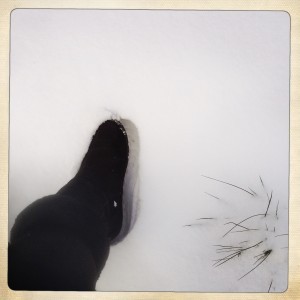 paris-neige-photo-pied