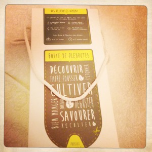 photo-1-pret-a-pousser-pleurottes-champignon-kit