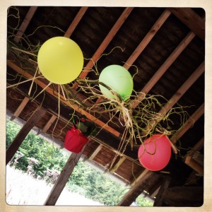 photo-bebe-malade-voiture-homeopathie-fete-de-famille-ba