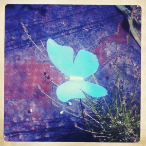 pmgirl-26-sa-enceinte-fiv-pma-amp-paris