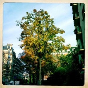 promenade-echarpe-jpmbb