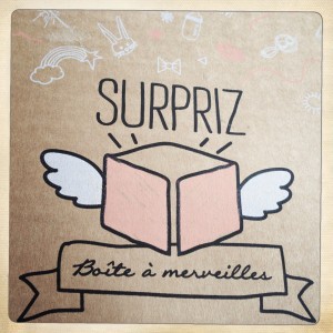 surpriz-boite-a-merveilles-avis-colis