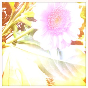 transfert-FIV-echographie-hatching