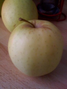 fondue-chamallow-paris