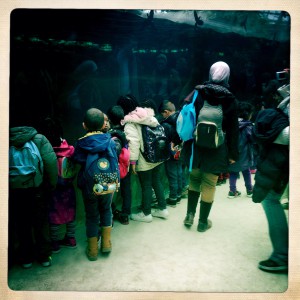 Zoo de vincennes ou parx zoologique de Paris visite groupes scolaires