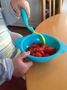 mini hachoir pour fruit fraise