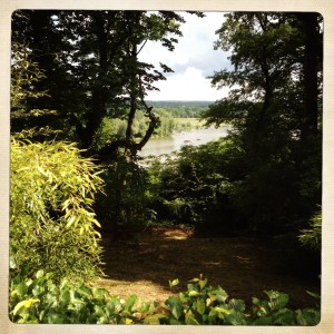 Le festival des Jardins de Chaumont sur Loire 2014 vue