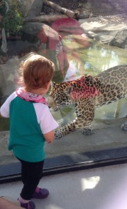 photo bébé wonder au zoo de vincennes