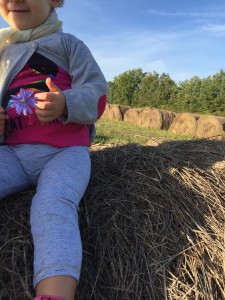 Bébé à la campagne photo