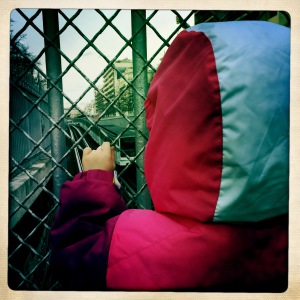 bébé malade fièvre 2 ans