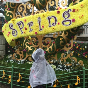 Disneyland paris spring printemps