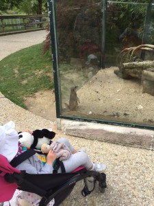 Zoo Parc Beauva test
