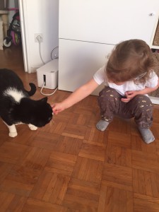 chat et enfant photo
