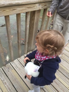 Hotel les jardins de beauval avis canards