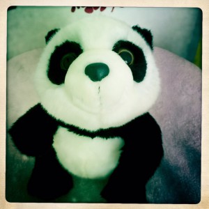 Peluche panda Beauval