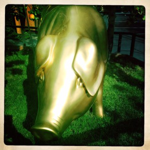 Expo Exposition Universelle Milan photo cochon