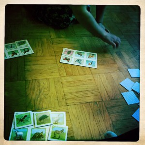 loto des animaux ravensburger test