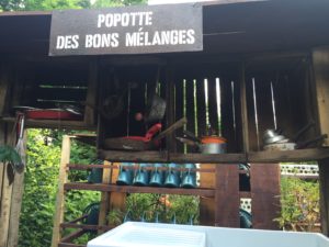 festival des jardins de Chaumont sur Loire 2016 test