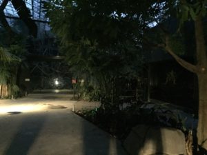 nocturne zoo de paris vincennes serre tropicale