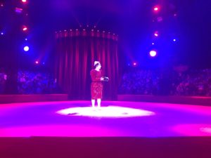cirque-arlette-gruss-spectacle-pour-enfants