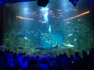 Visite Aquarium du Trocadéro