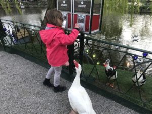 activités en famille à Copenhague. tivoli canards